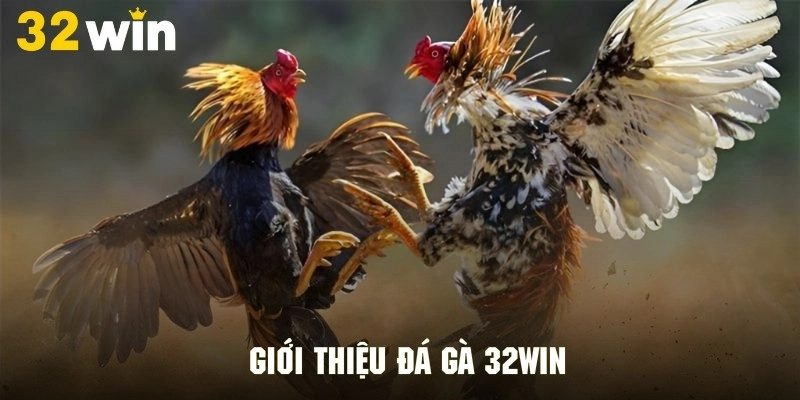 Giới thiệu khái quát không gian giải trí đình đám đá gà 32Win