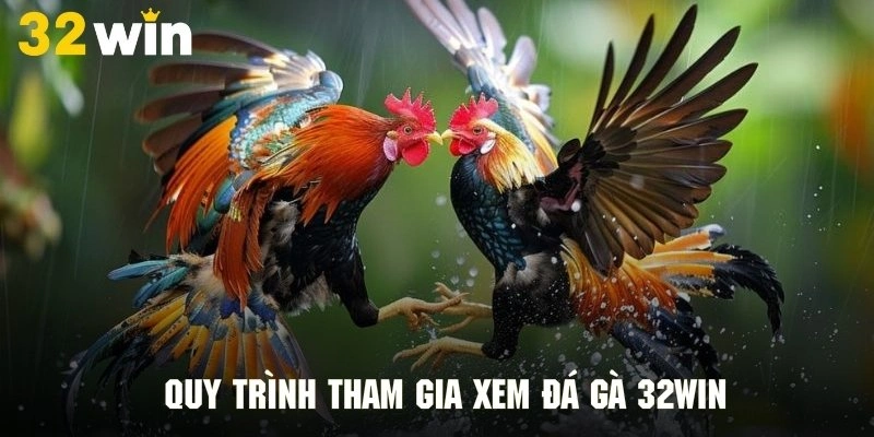 Chi tiết quy trình tham gia giải trí các trận đá gà 32Win