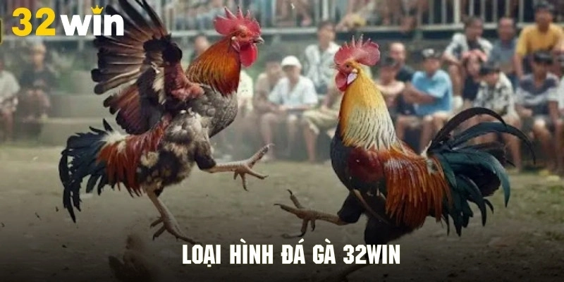 Danh sách những loại hình đá gà phổ biến tại 32Win