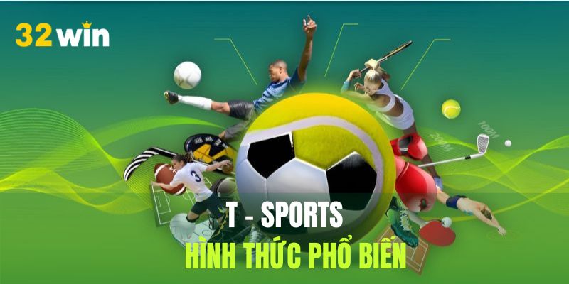 Các phương án giải trí được ưa chuộng tại T - Sports năm 2025