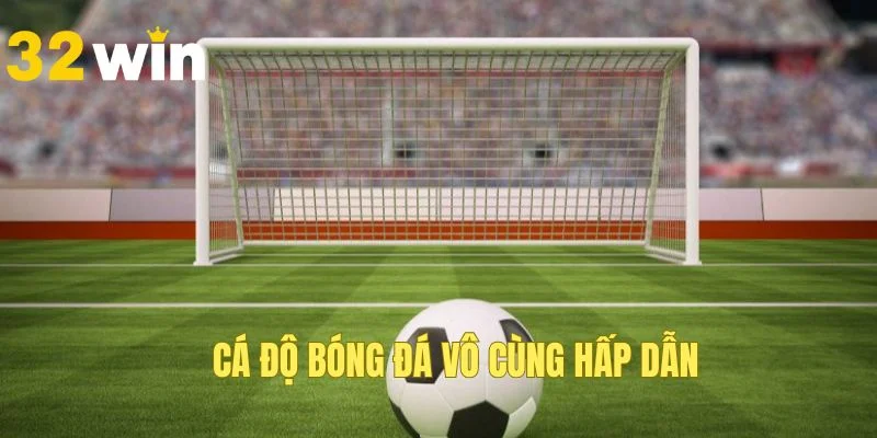 Trải nghiệm cược vào bóng đá hấp dẫn